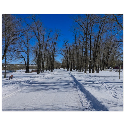 f8e0df18-e00b-4b01-8666-d67a908762a5