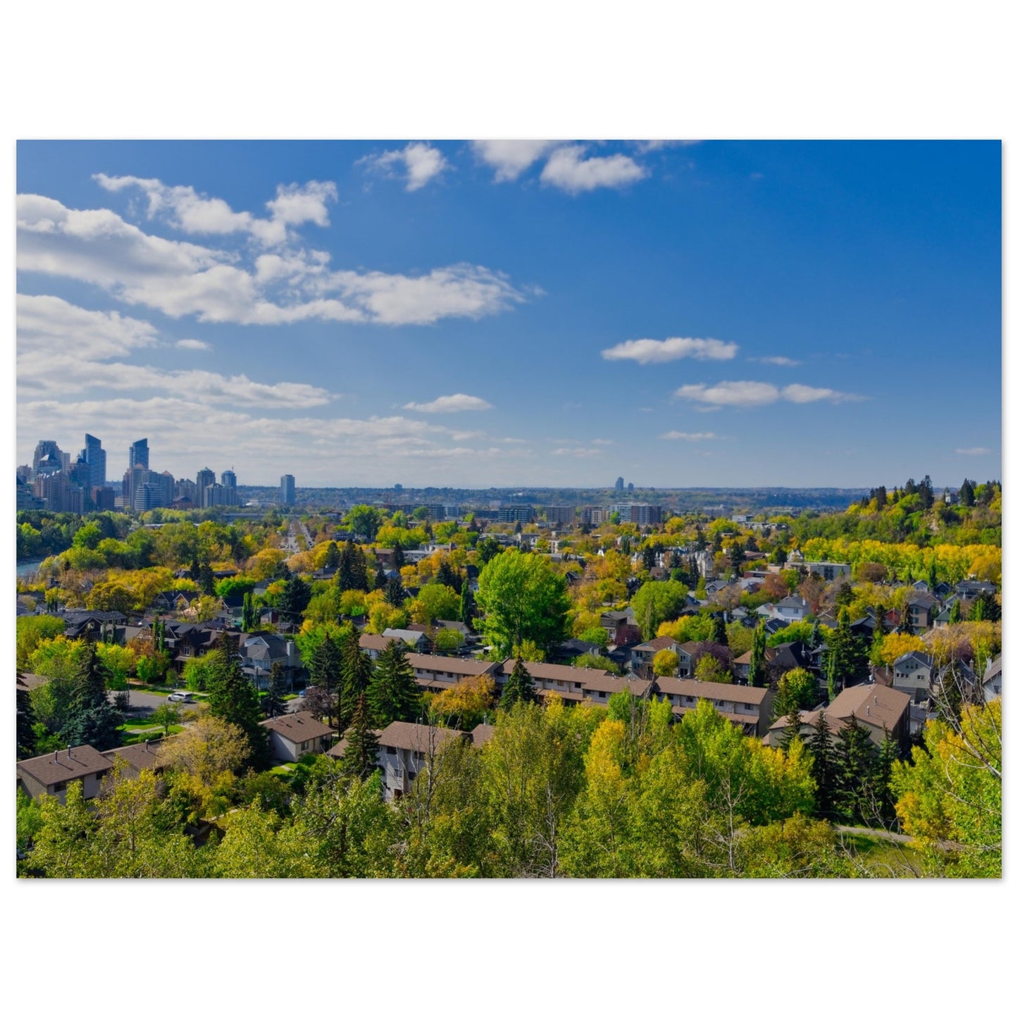 Premium Semi-Glossy Poster Print - McHugh Bluff Fall