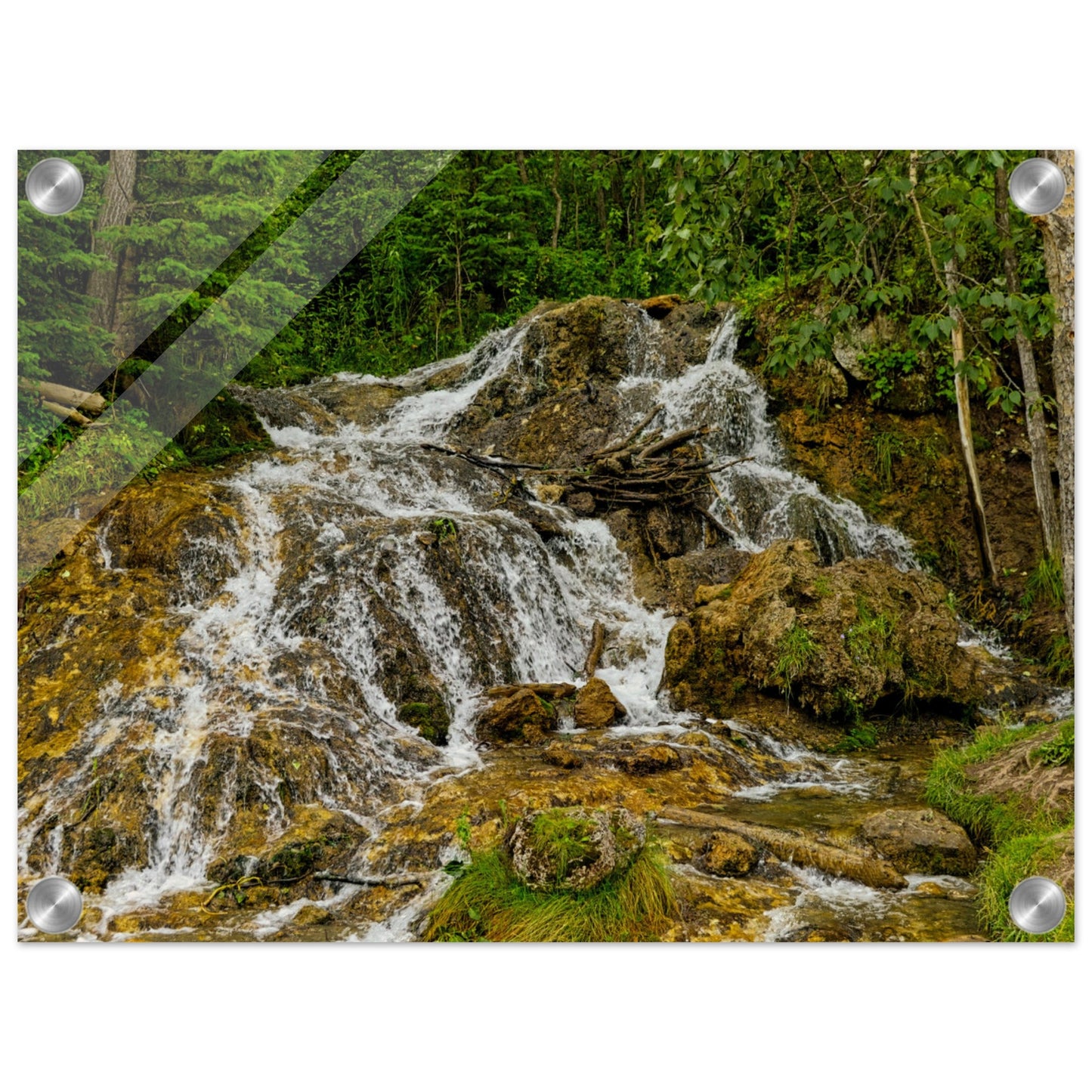 fd007ab8-8ed6-42b9-b94a-11c20f09021b