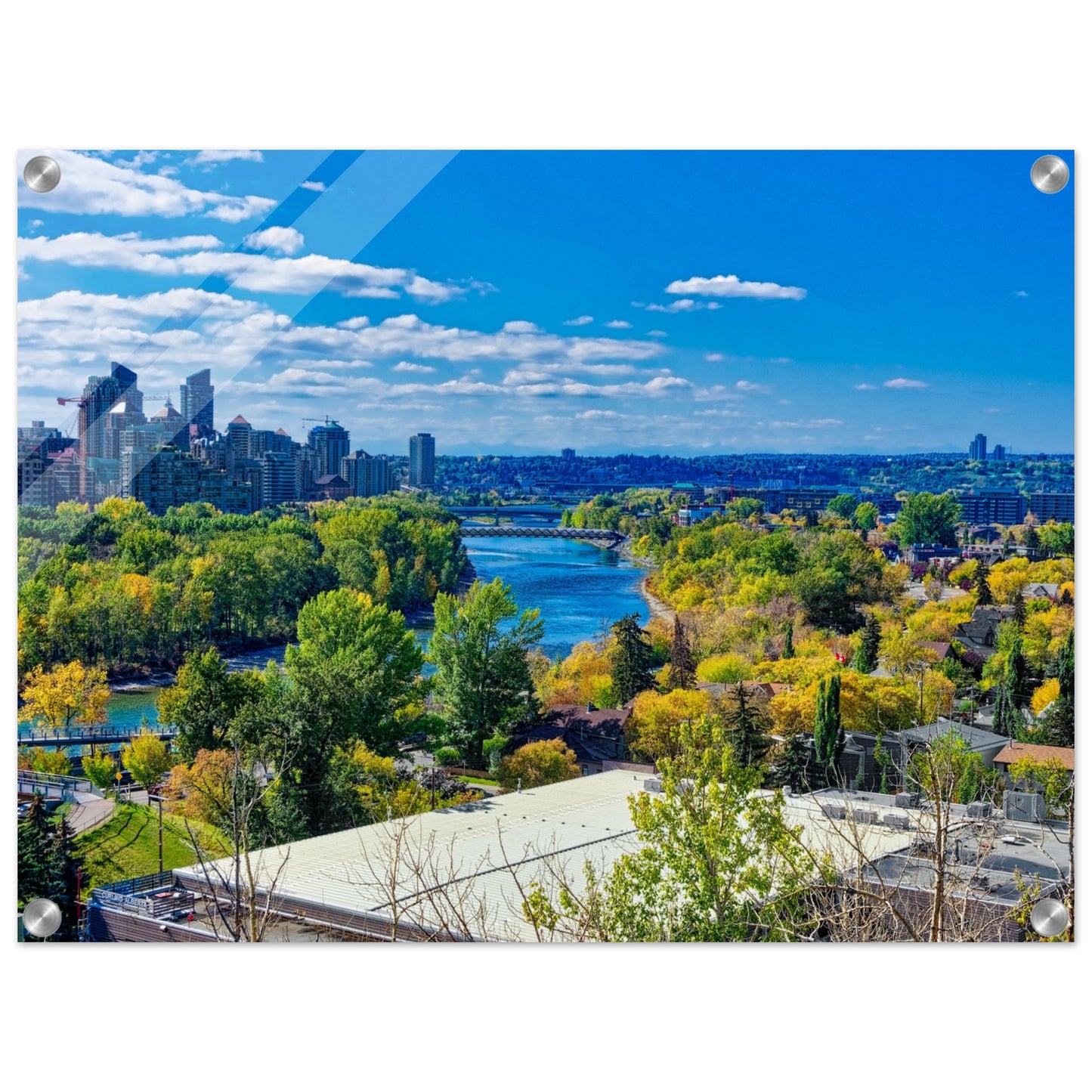 Acrylic Print - Bow River Peace Bridge McHugh Bluff HDR
