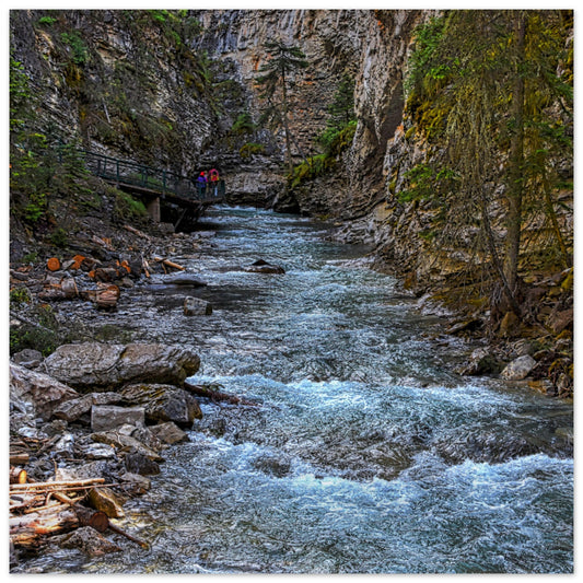 ff9f9922-c60a-4723-8c32-f2c4133ea8c4