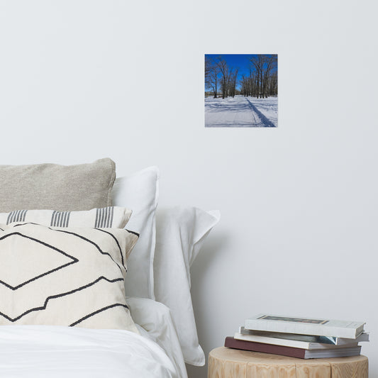 Lustre Poster Print - Bowness Park Pathway Winter