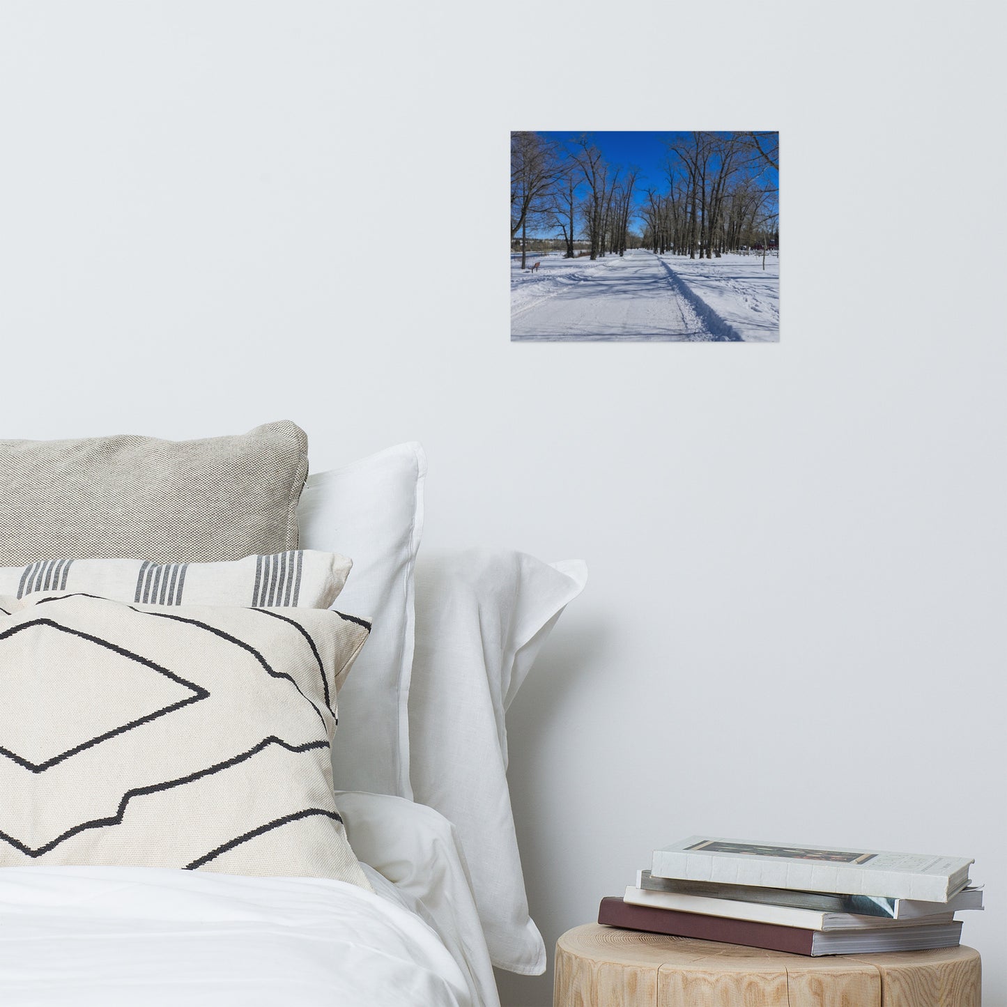 Lustre Poster Print - Bowness Park Pathway Winter