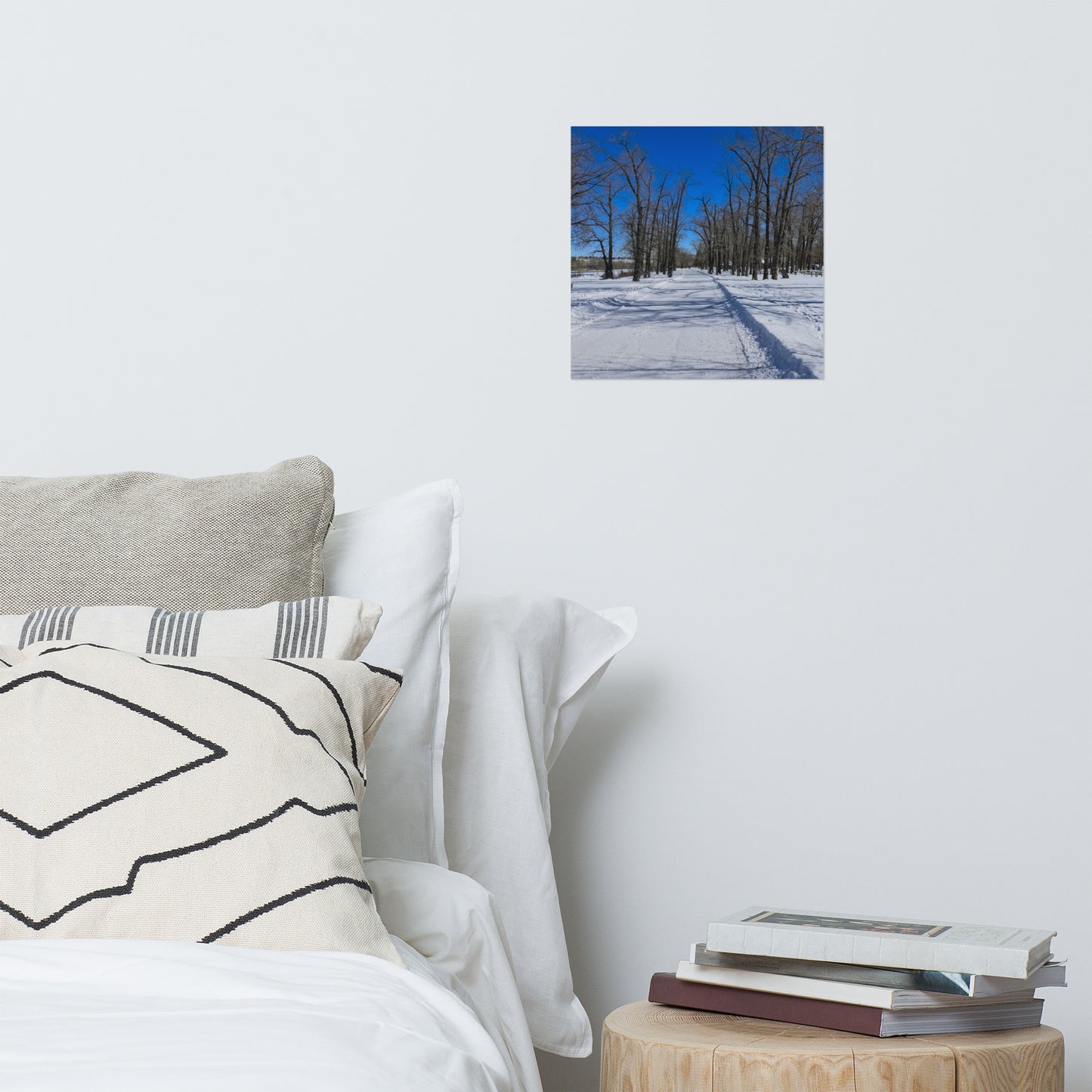 Lustre Poster Print - Bowness Park Pathway Winter