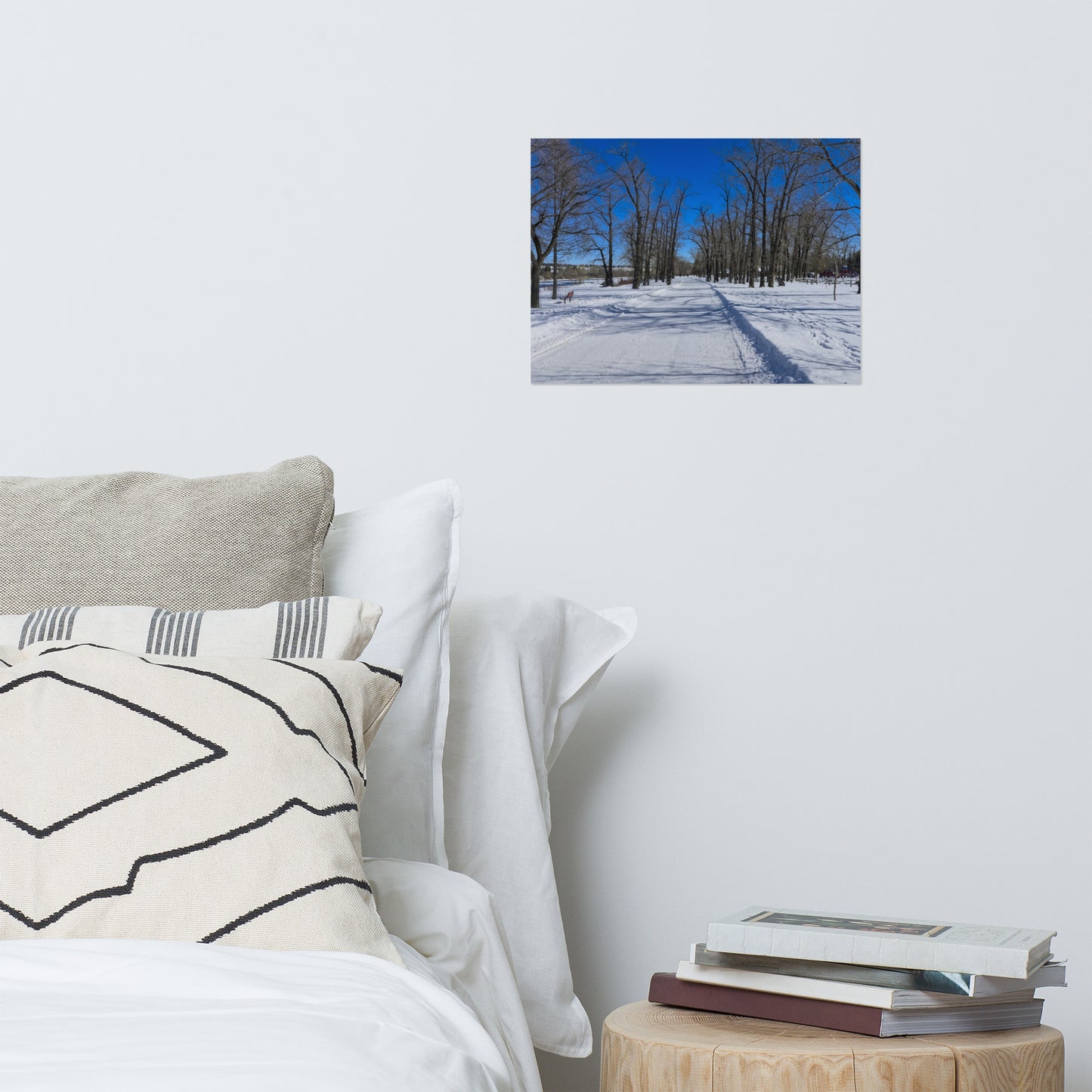 Lustre Poster Print - Bowness Park Pathway Winter