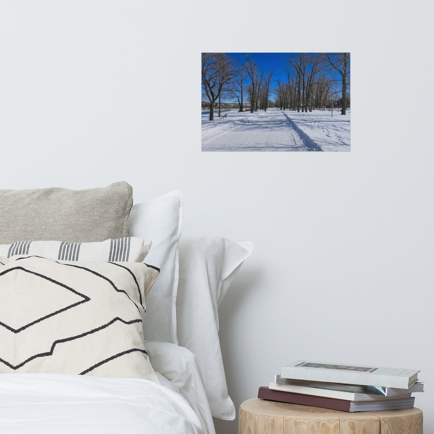 Lustre Poster Print - Bowness Park Pathway Winter
