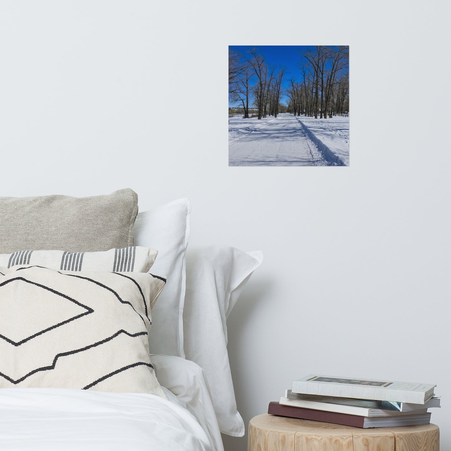 Lustre Poster Print - Bowness Park Pathway Winter