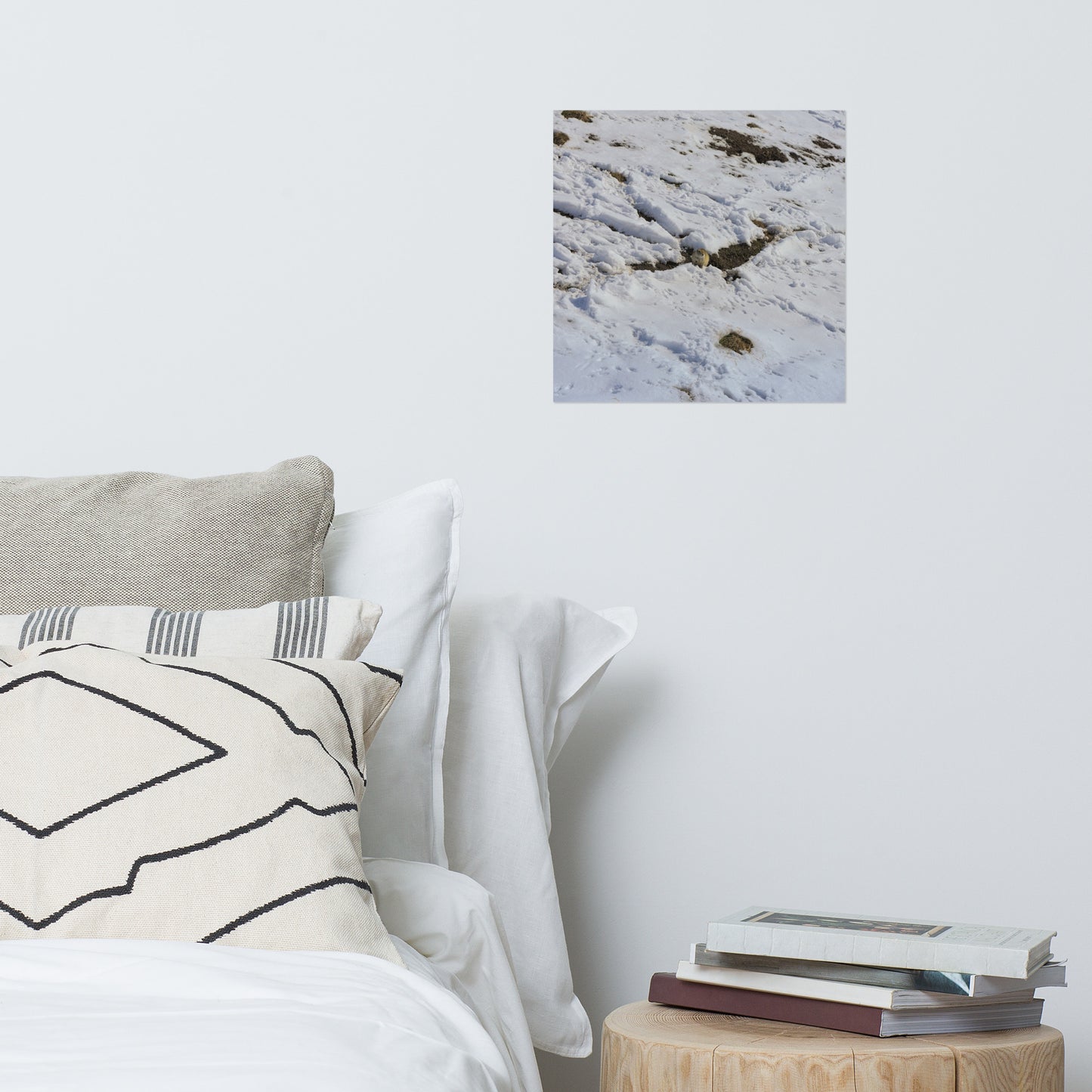 Lustre Poster Print - Max Bell Centre Gopher Winter