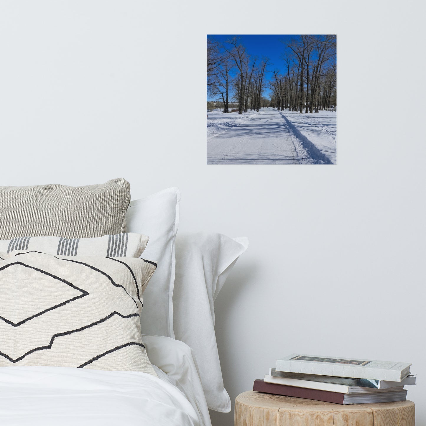 Lustre Poster Print - Bowness Park Pathway Winter