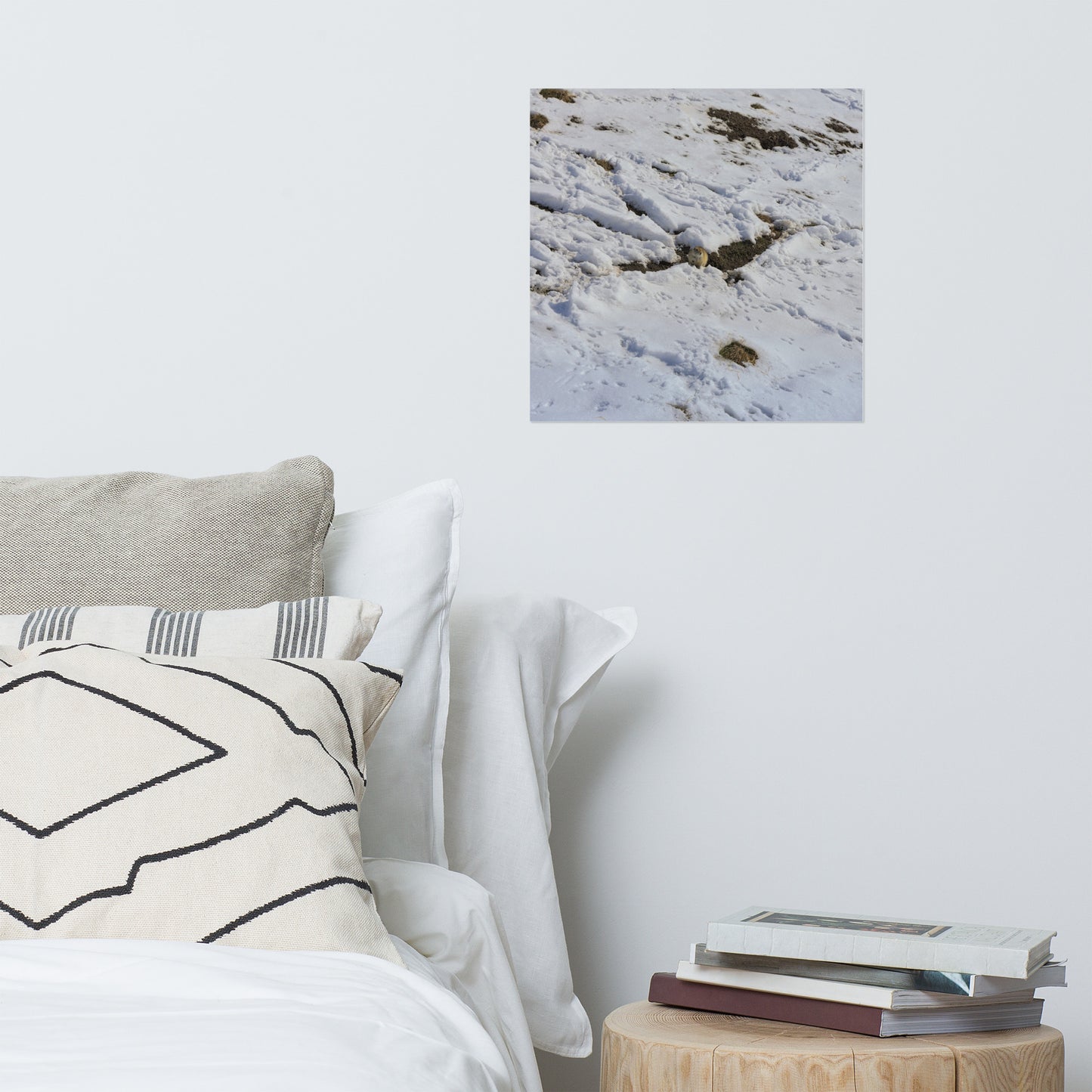 Lustre Poster Print - Max Bell Centre Gopher Winter
