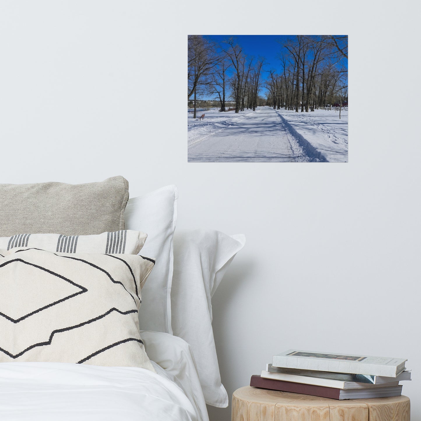 Lustre Poster Print - Bowness Park Pathway Winter