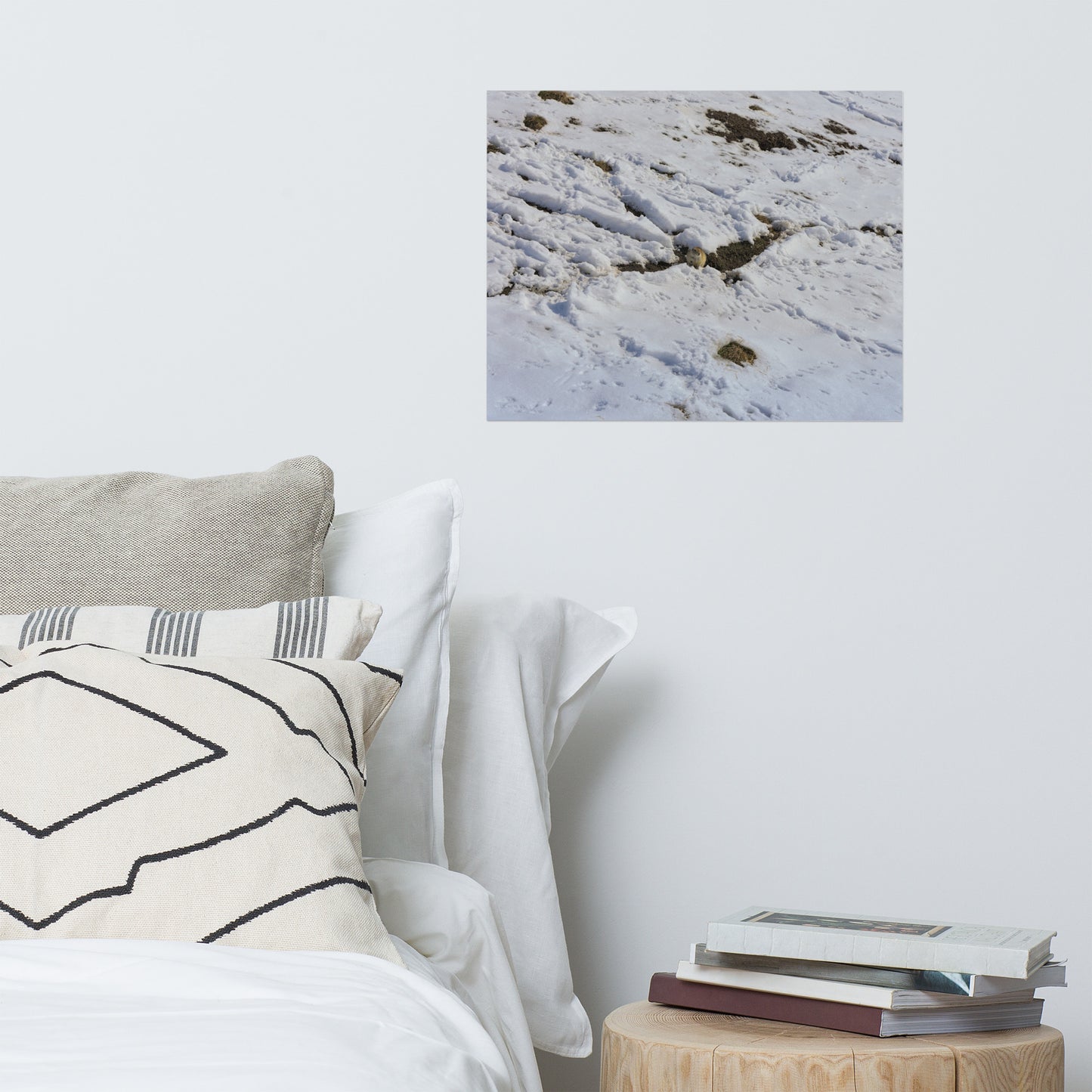 Lustre Poster Print - Max Bell Centre Gopher Winter