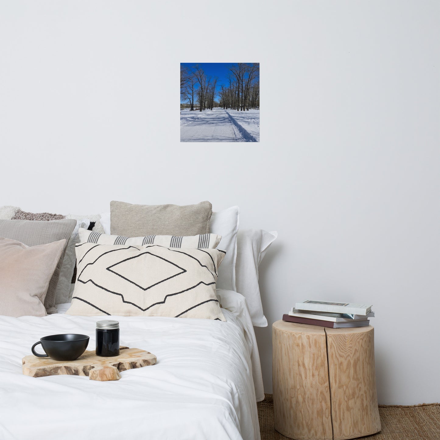 Lustre Poster Print - Bowness Park Pathway Winter