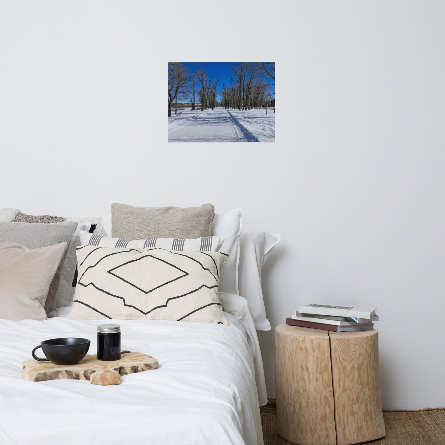 Lustre Poster Print - Bowness Park Pathway Winter
