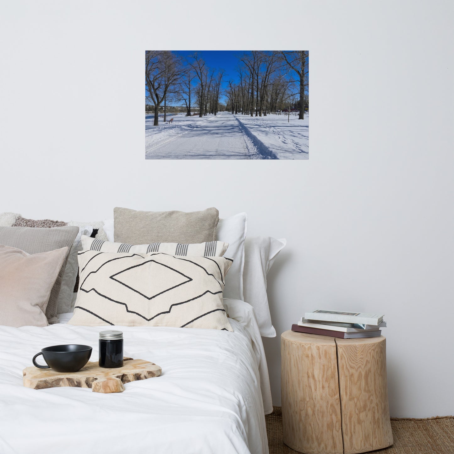 Lustre Poster Print - Bowness Park Pathway Winter