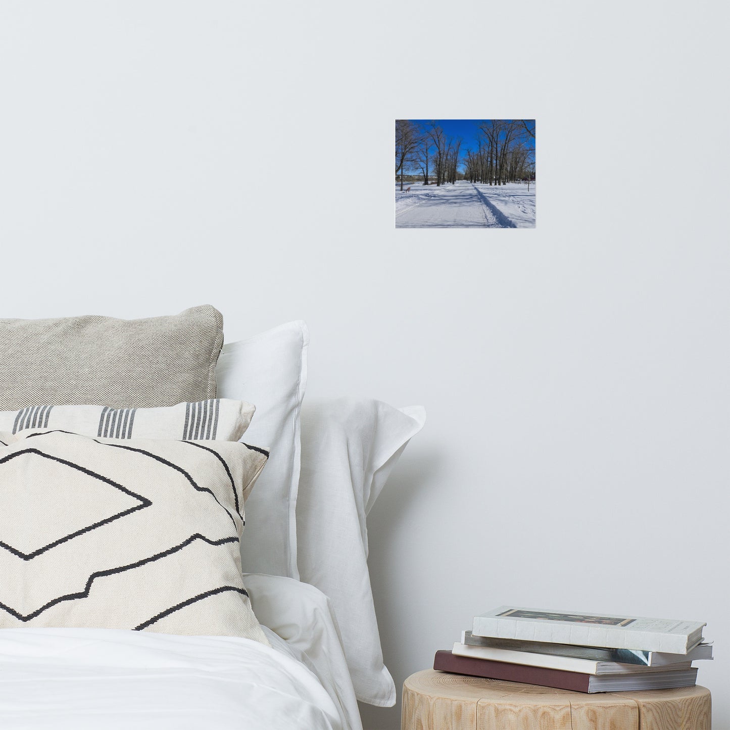 Lustre Poster Print - Bowness Park Pathway Winter