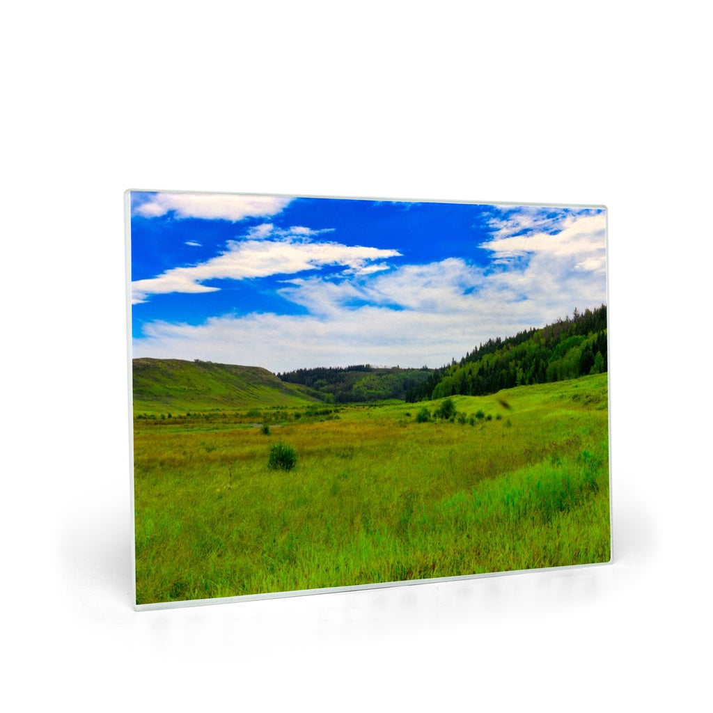 generated-proPreview-0
