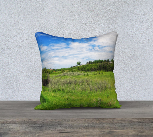 18x18 Pillow Case - Fish Creek Park Votier's Flats Meadow