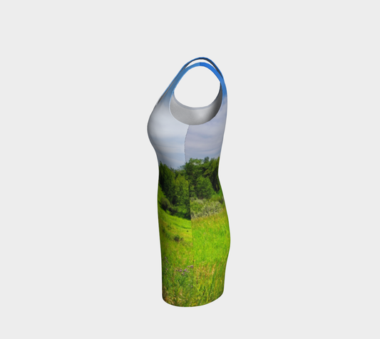 Bodycon Dress - Fish Creek Park Votier's Flats Meadow