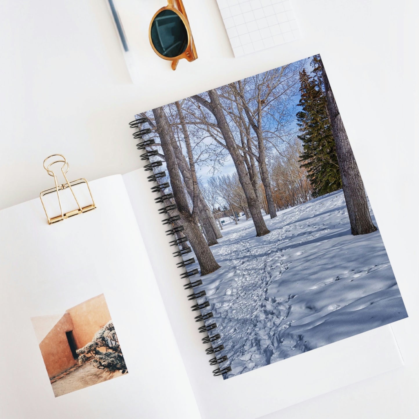 Ruled Line Spiral Notebook - Confederation Park Winter HDR