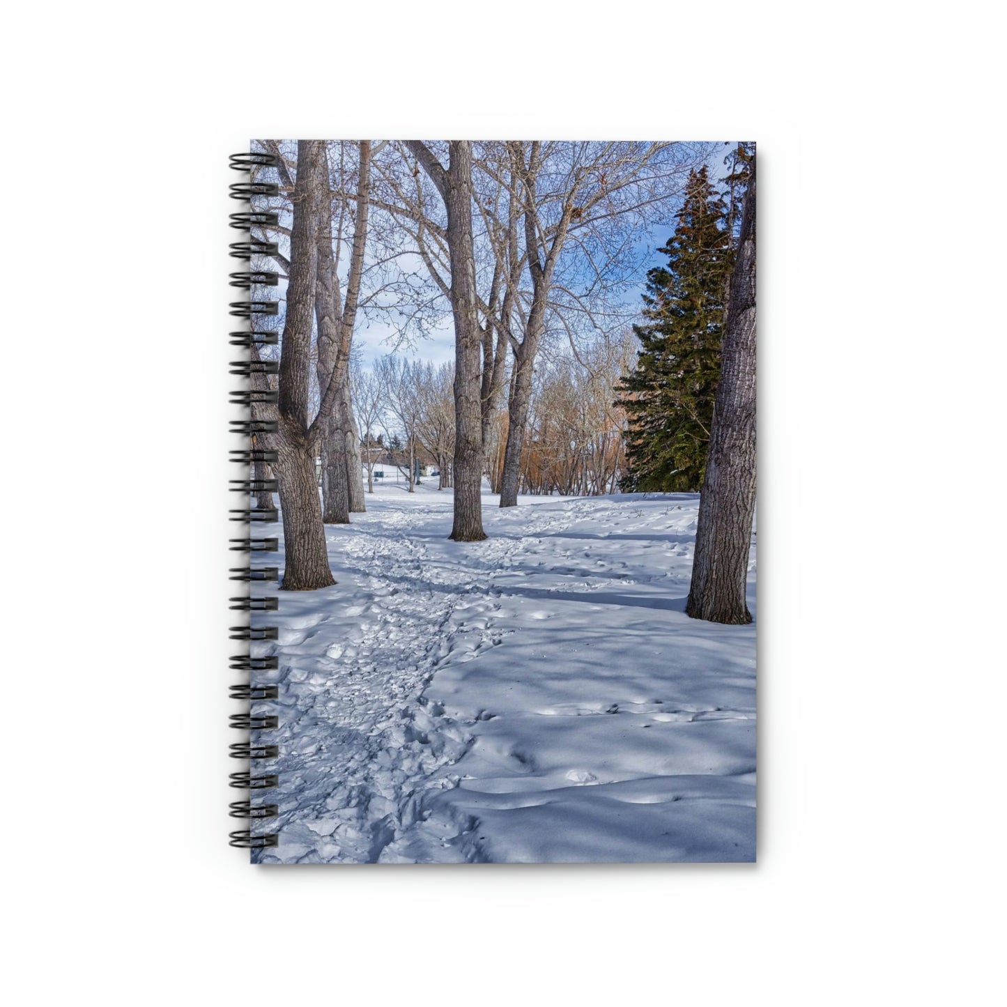 Ruled Line Spiral Notebook - Confederation Park Winter HDR