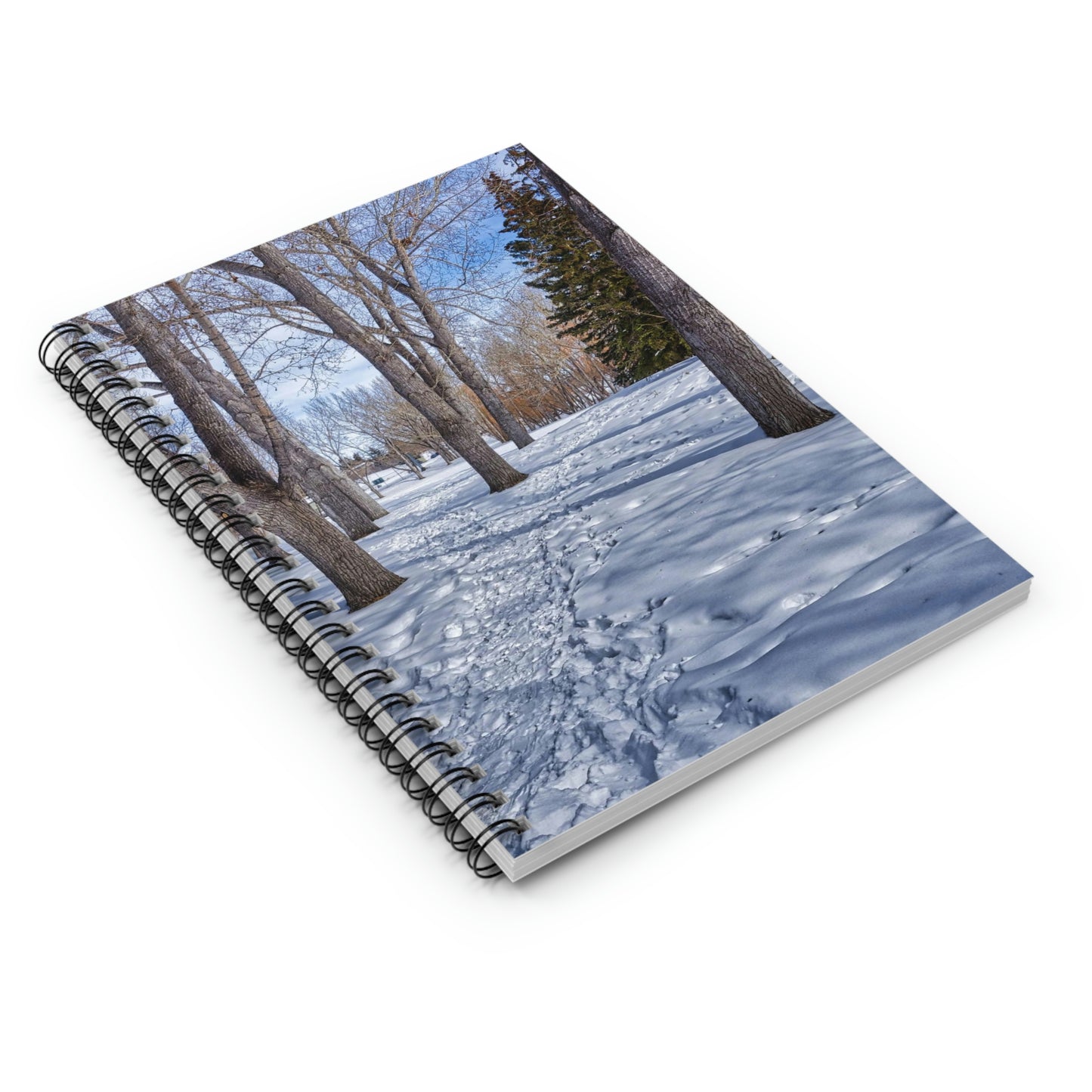 Ruled Line Spiral Notebook - Confederation Park Winter HDR