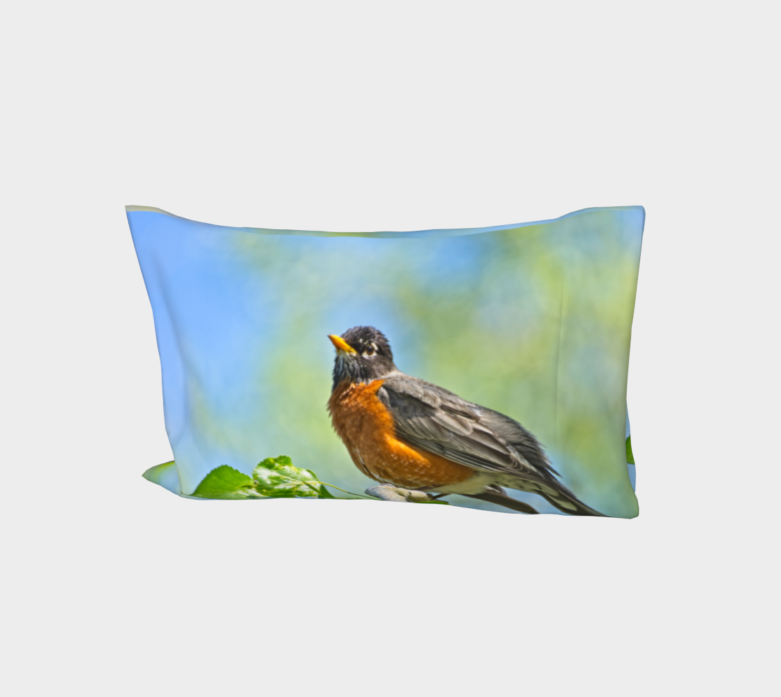 Bed Pillow Sleeve - Carburn Park Bird
