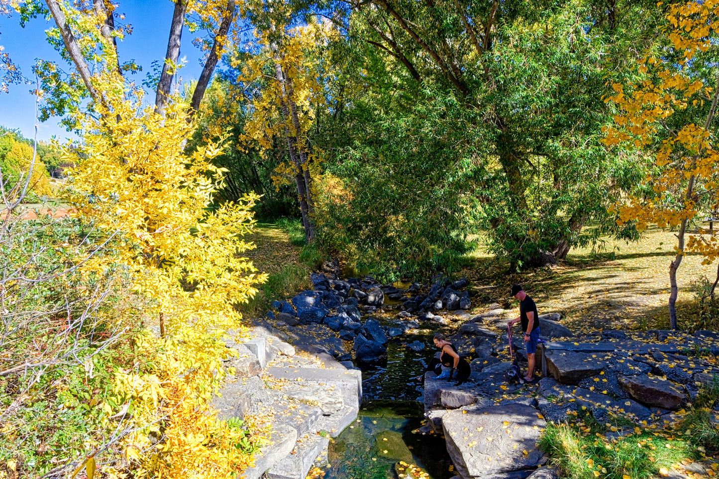 Confederation Creek in the Fall HDR Digital Download