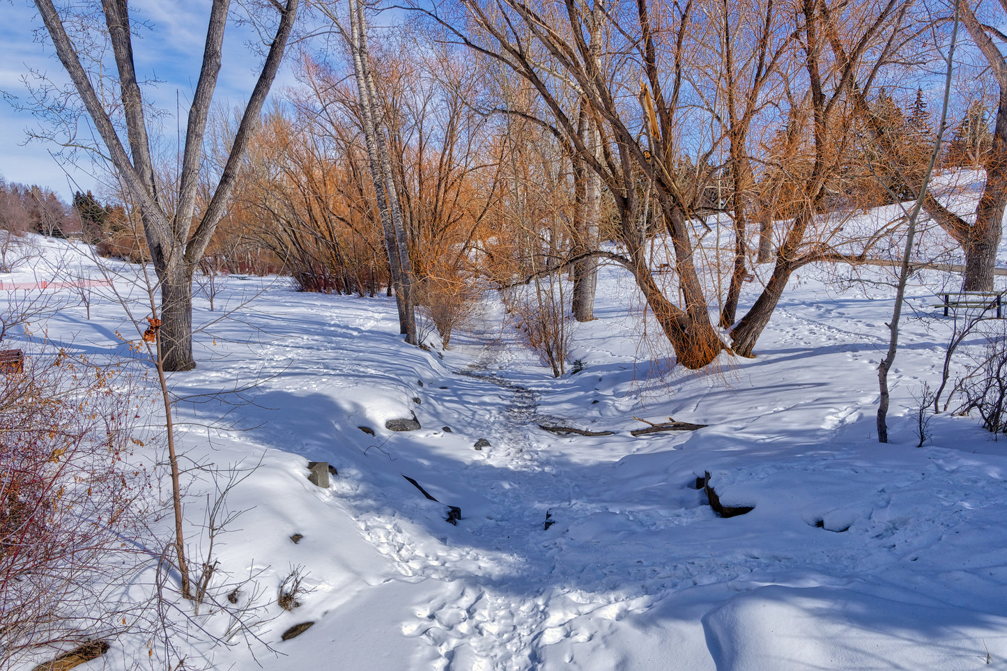 Confederation Creek Winter HDR Digital Download