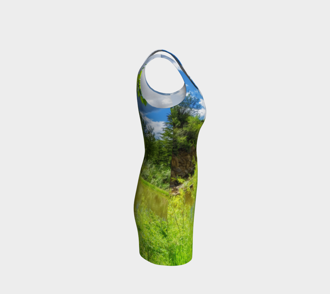 Bodycon Dress - Fish Creek Park Votier's Flats