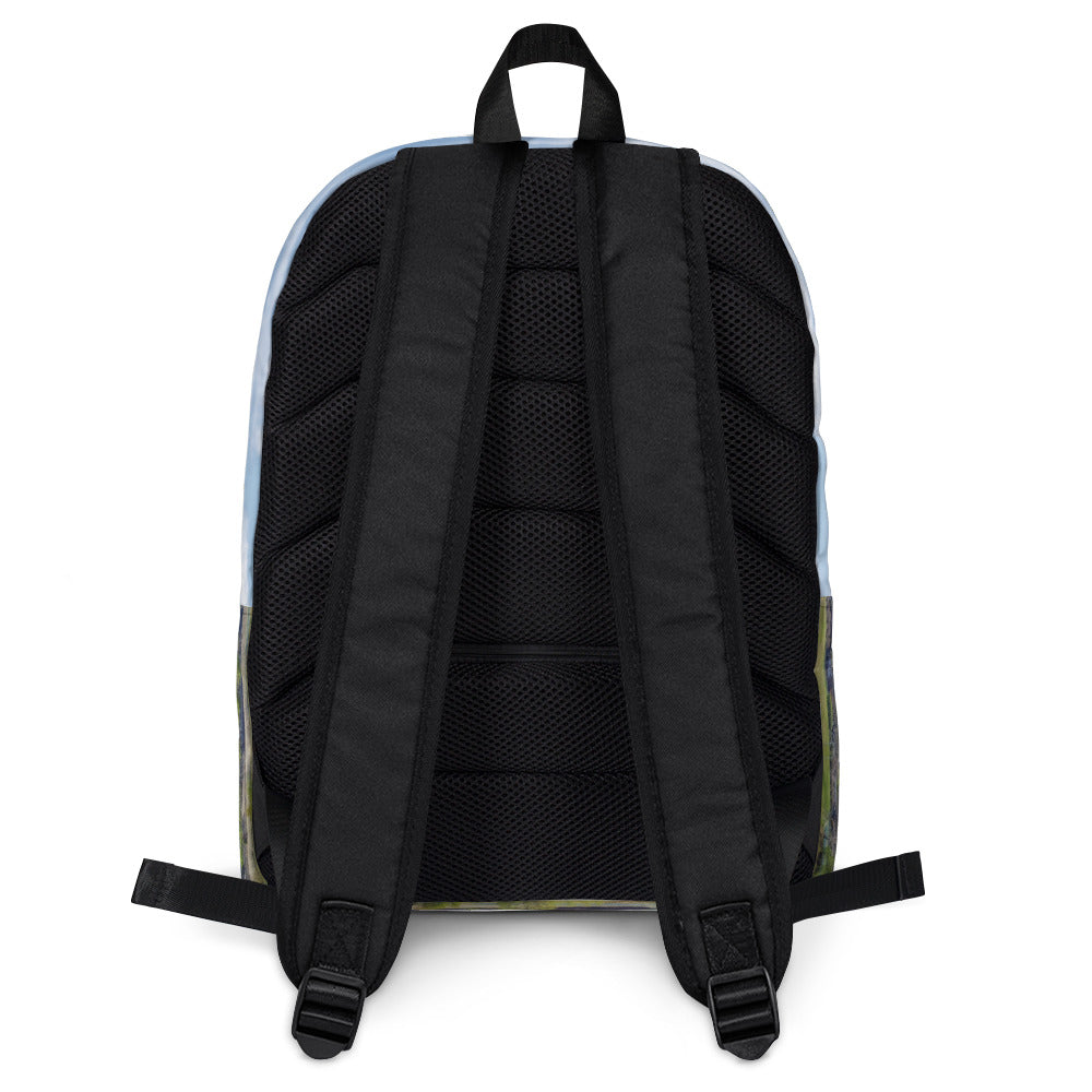 Backpack - Downtown Calgary Vista Heights Hill