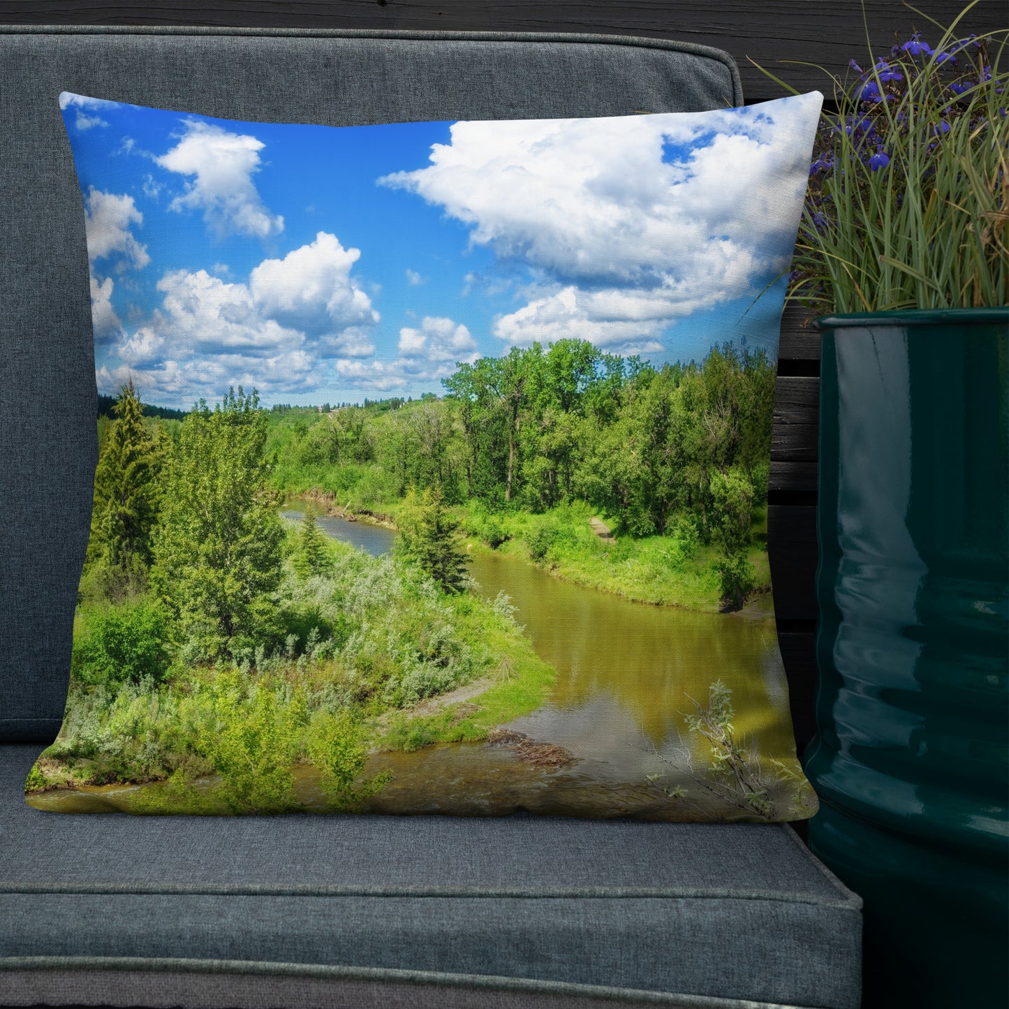 Premium Pillow - Fish Creek Park Votier's Flats Lookout