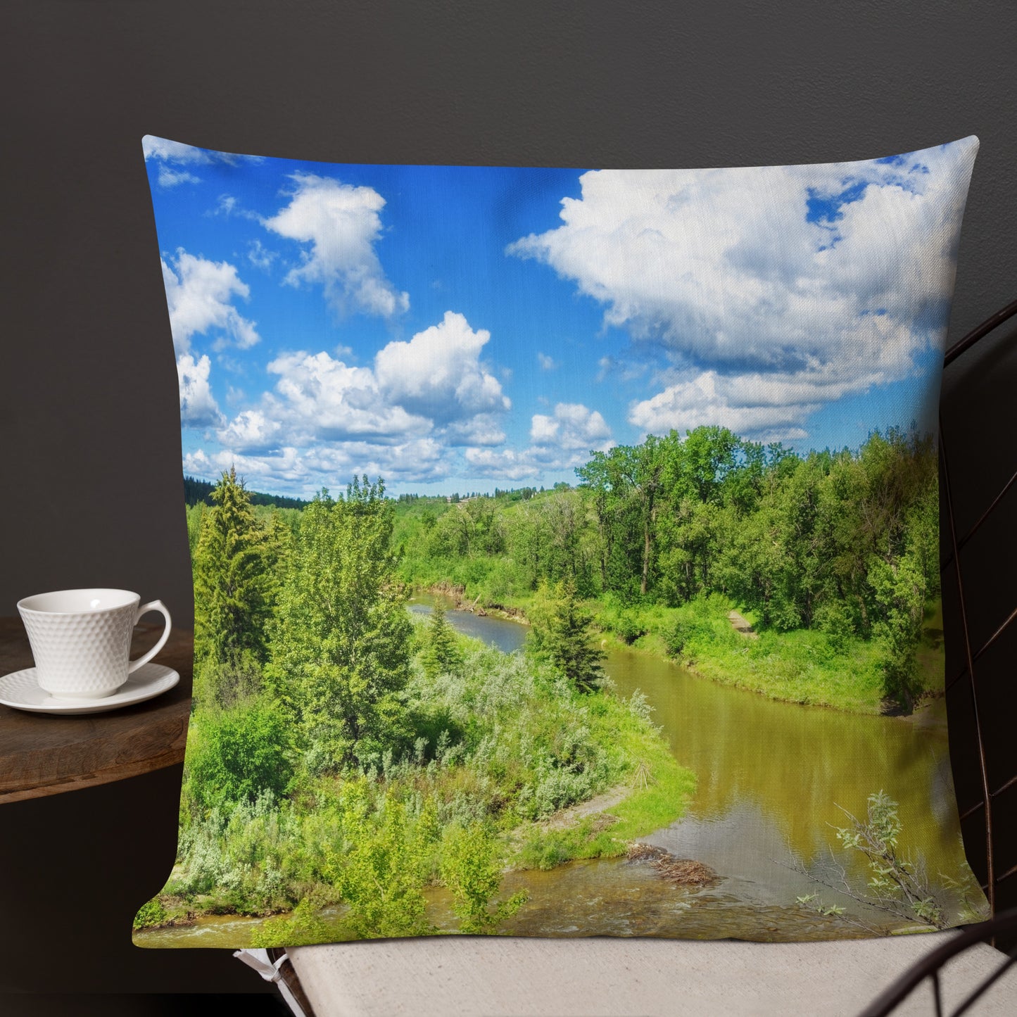 Premium Pillow - Fish Creek Park Votier's Flats Lookout