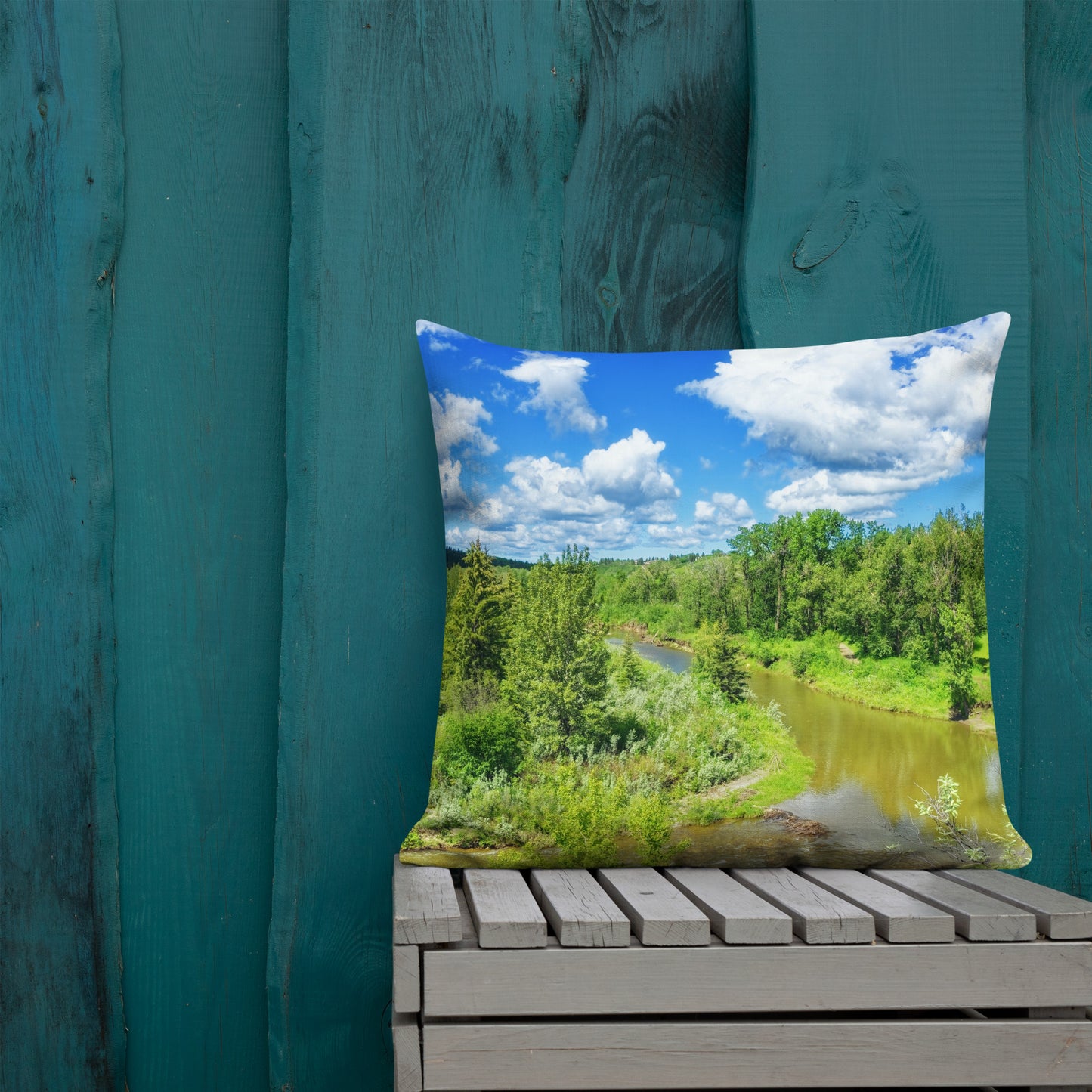 Premium Pillow - Fish Creek Park Votier's Flats Lookout