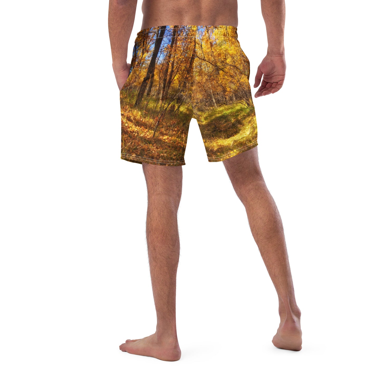 Men's Swim Trunks - Carburn Park Fall Colours