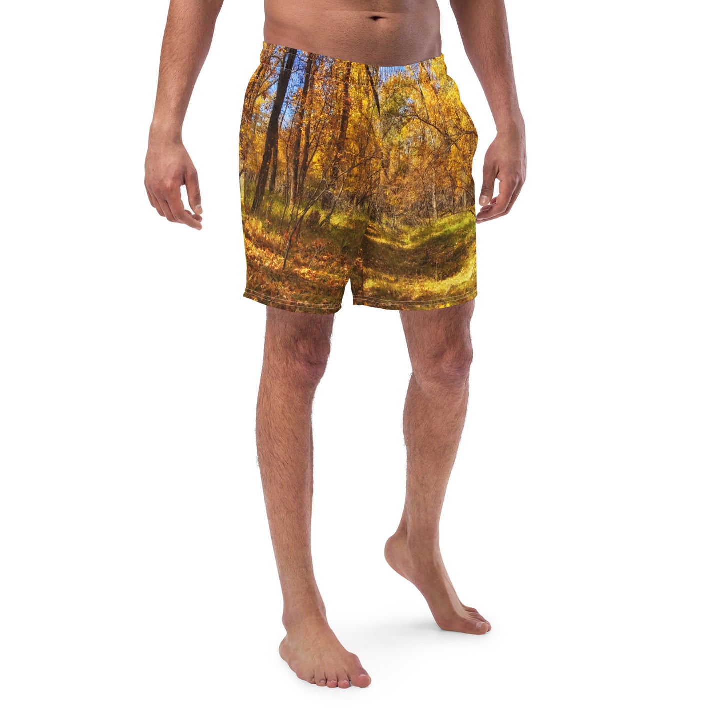 Men's Swim Trunks - Carburn Park Fall Colours