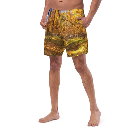 Men's Swim Trunks - Carburn Park Fall Colours