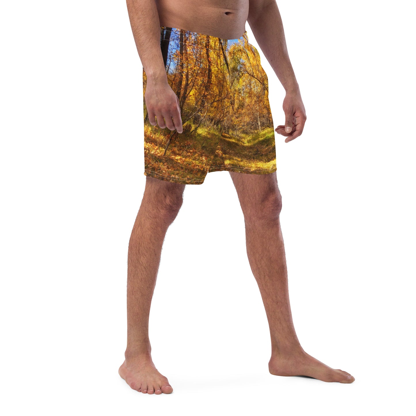 Men's Swim Trunks - Carburn Park Fall Colours