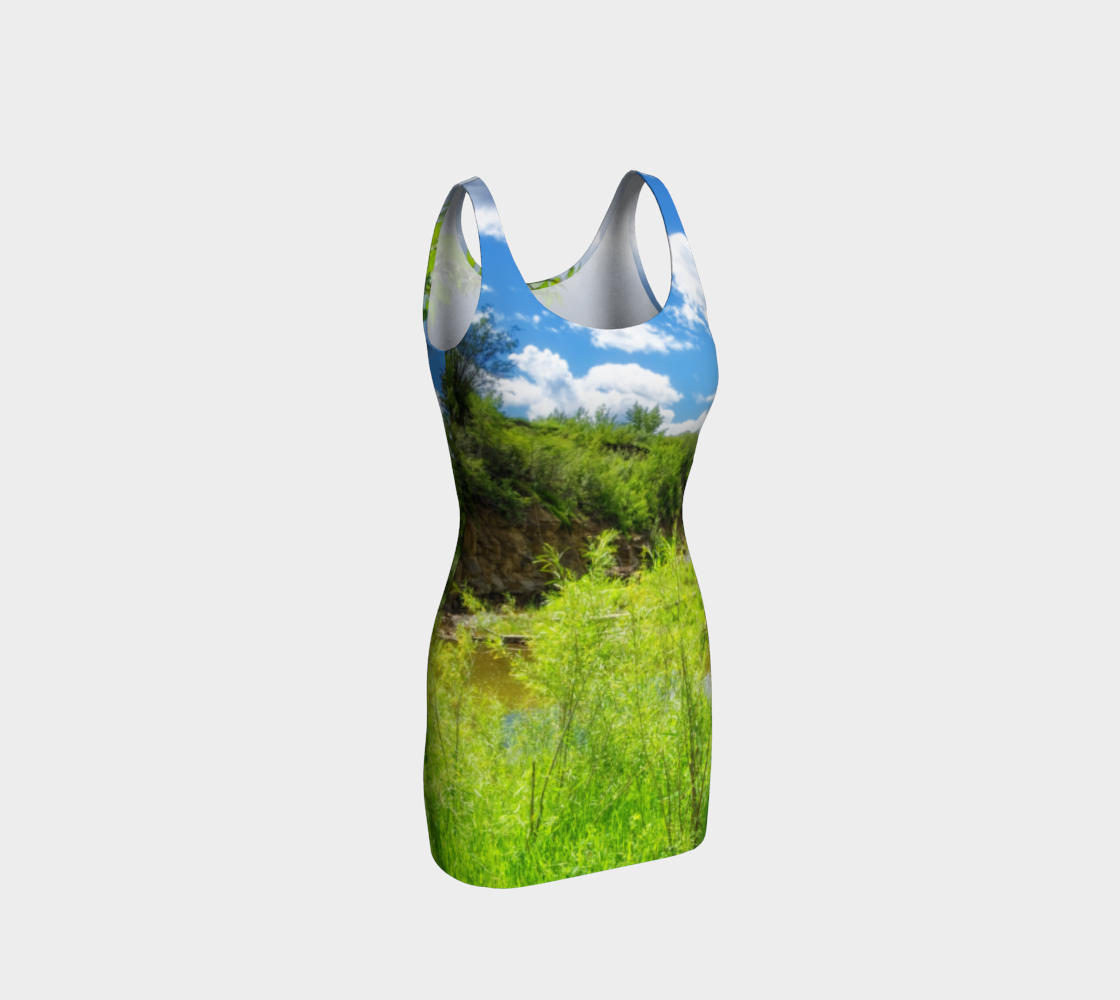 Bodycon Dress - Fish Creek Park Votier's Flats