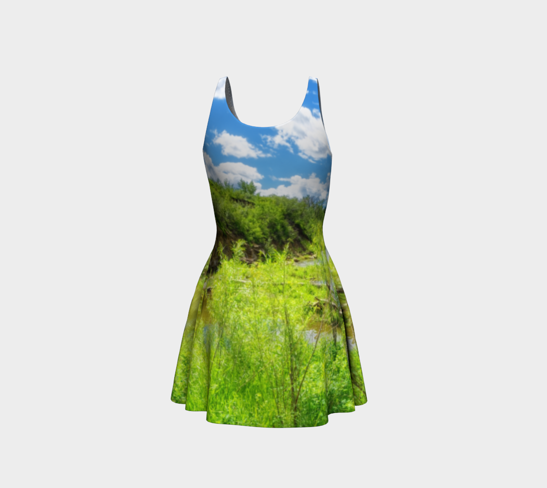 Flare Dress - Fish Creek Park Votier's Flats