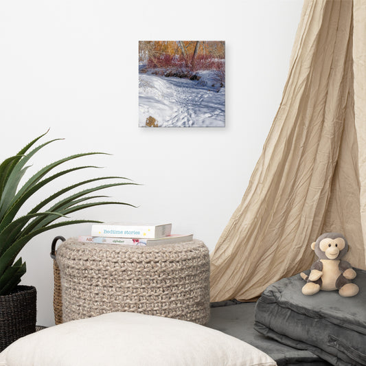 Canvas Print - Confederation Creek Winter HDR