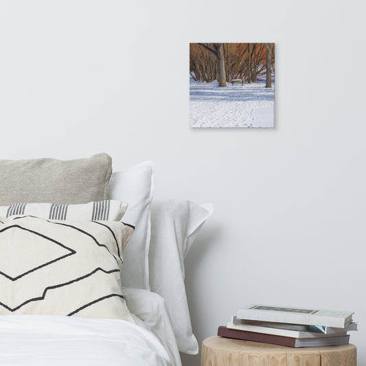 Canvas Print - Confederation Park Winter