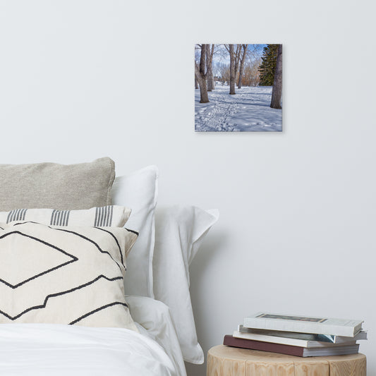 Canvas Print - Confederation Park Winter HDR