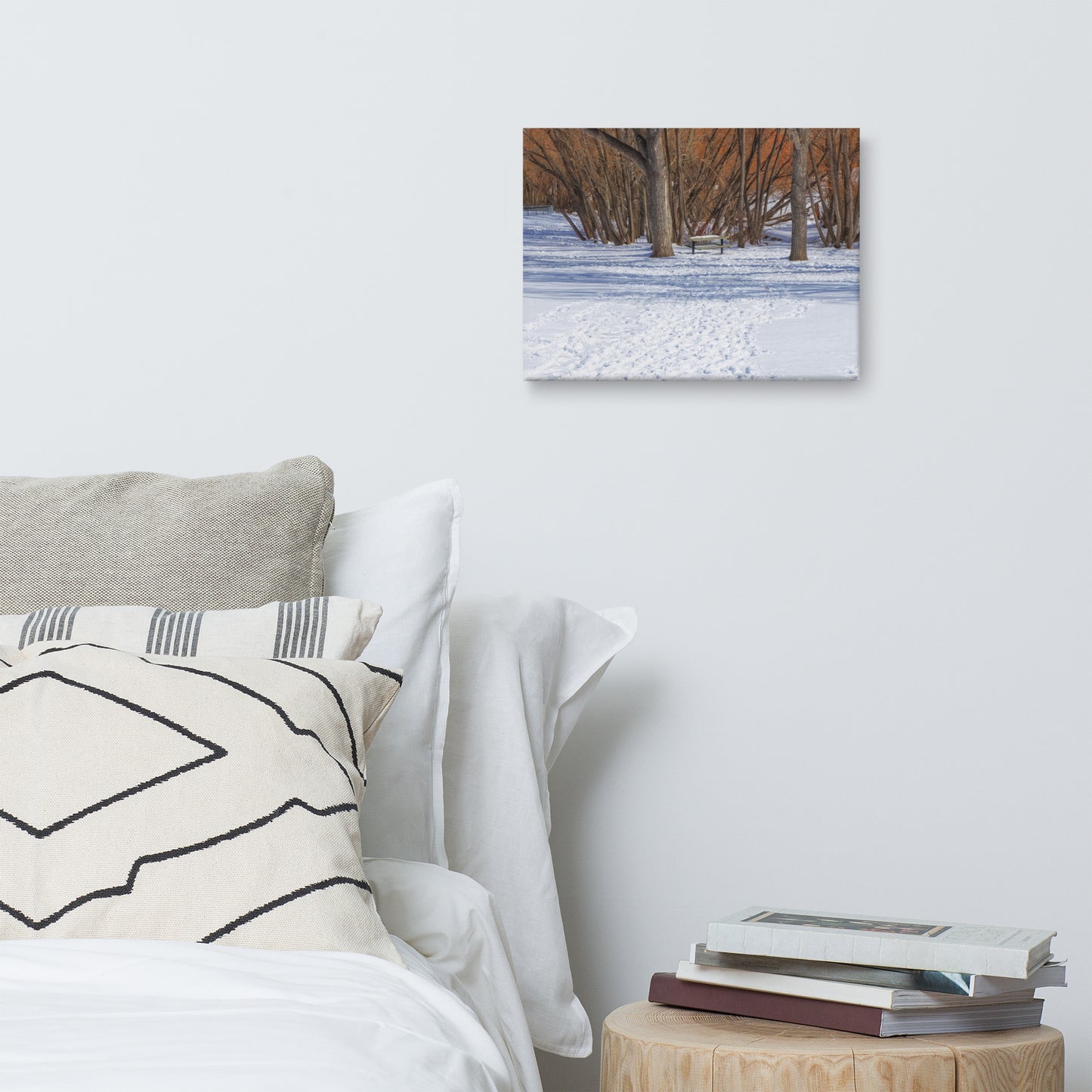 Canvas Print - Confederation Park Winter