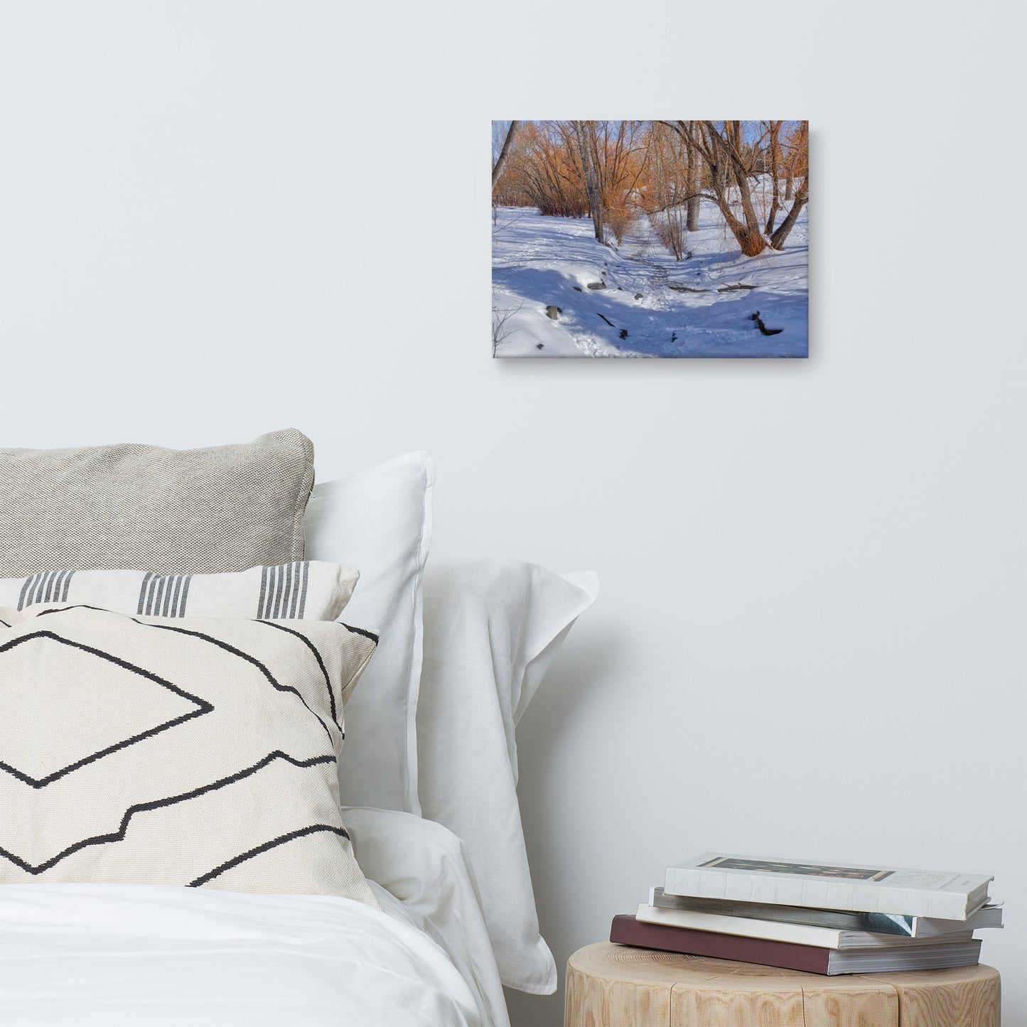 Canvas Print - Confederation Creek Winter HDR