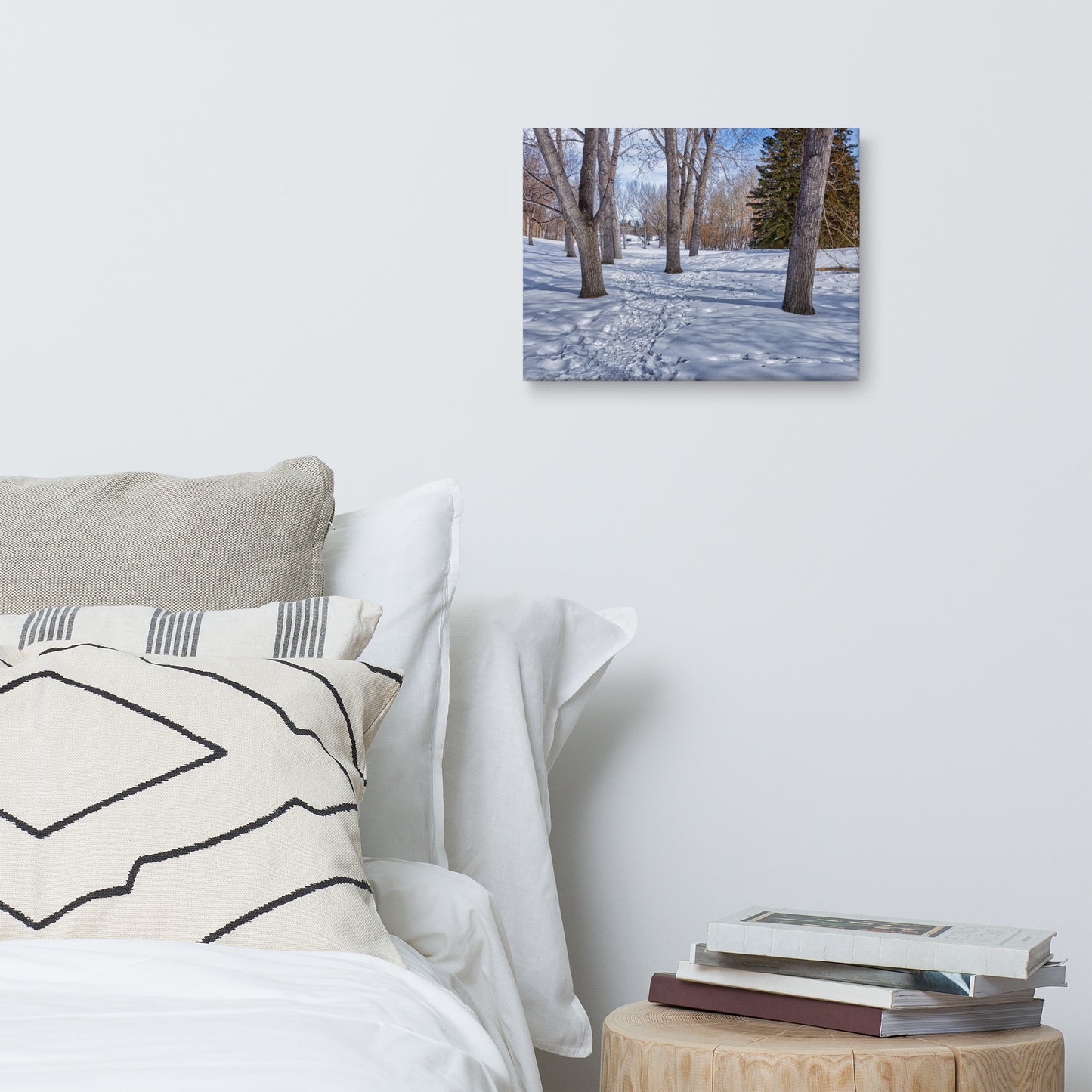 Canvas Print - Confederation Park Winter HDR