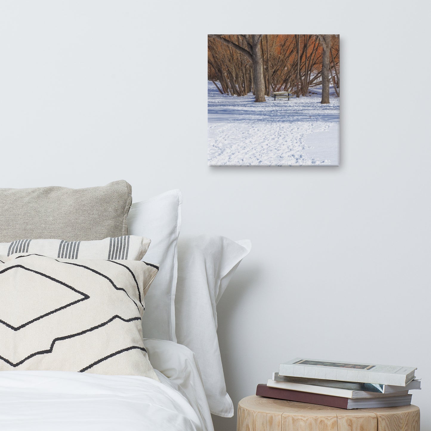 Canvas Print - Confederation Park Winter