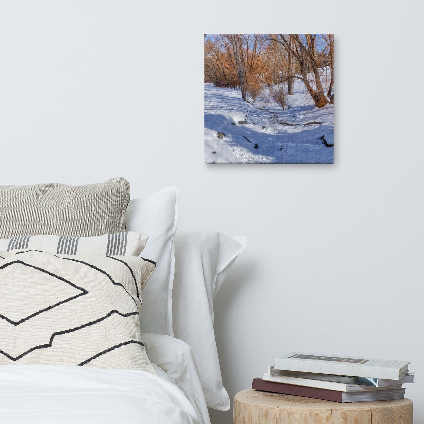 Canvas Print - Confederation Creek Winter HDR