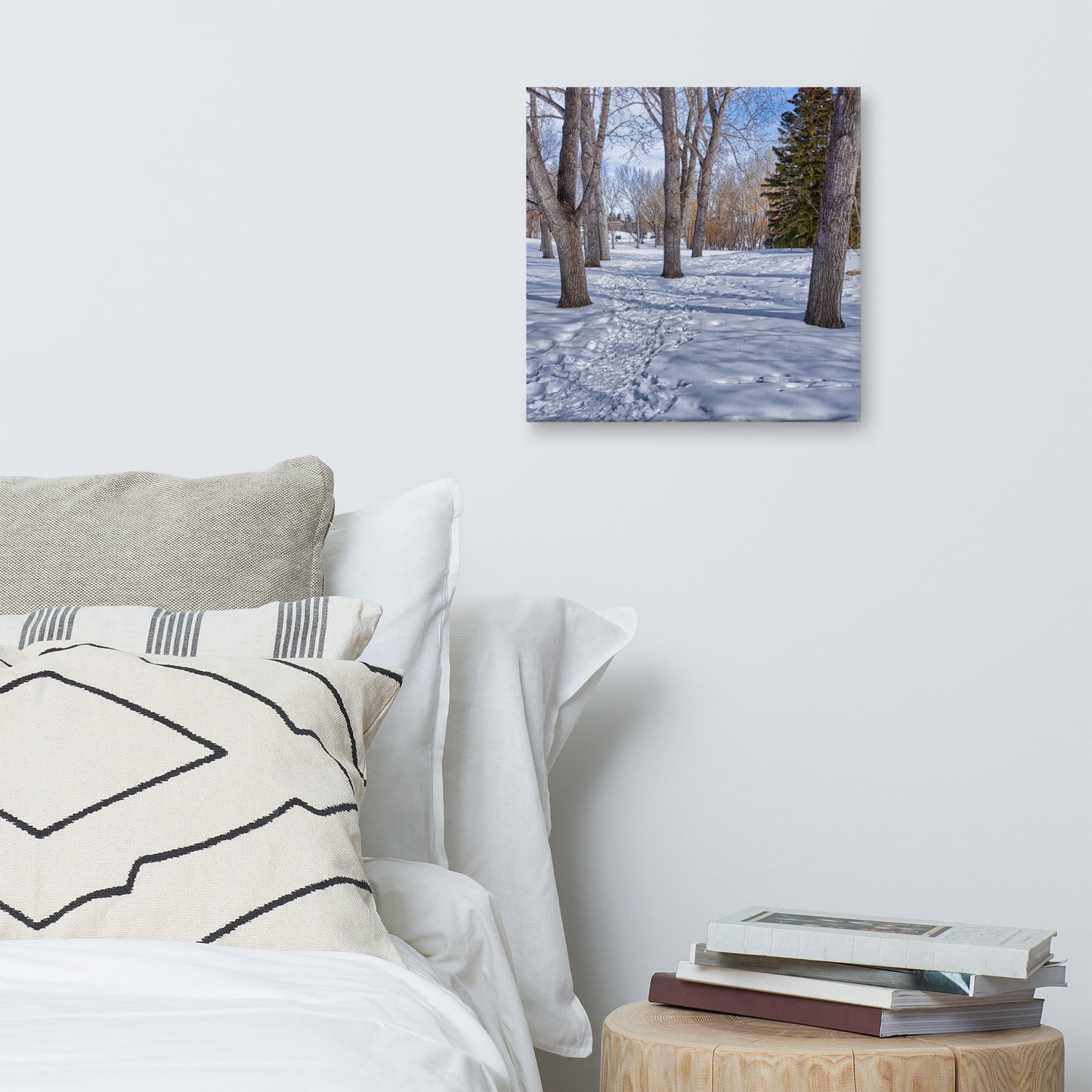 Canvas Print - Confederation Park Winter HDR