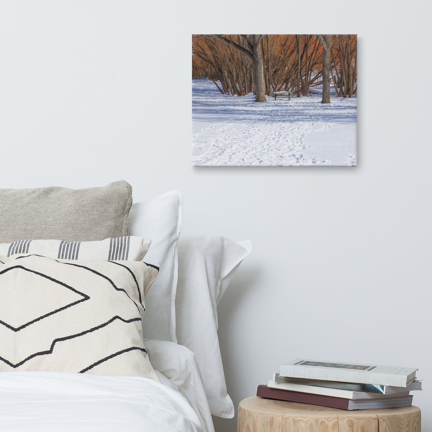 Canvas Print - Confederation Park Winter